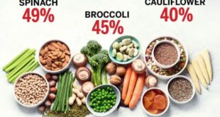 High Protein Vegetables Women Should Add To Their Diet