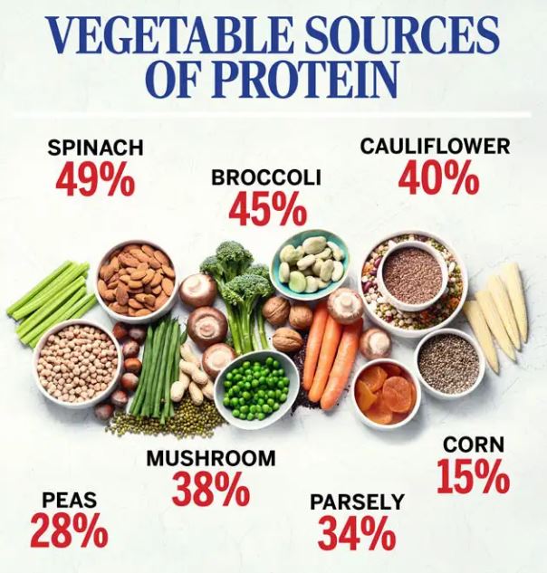 High Protein Vegetables Women Should Add To Their Diet